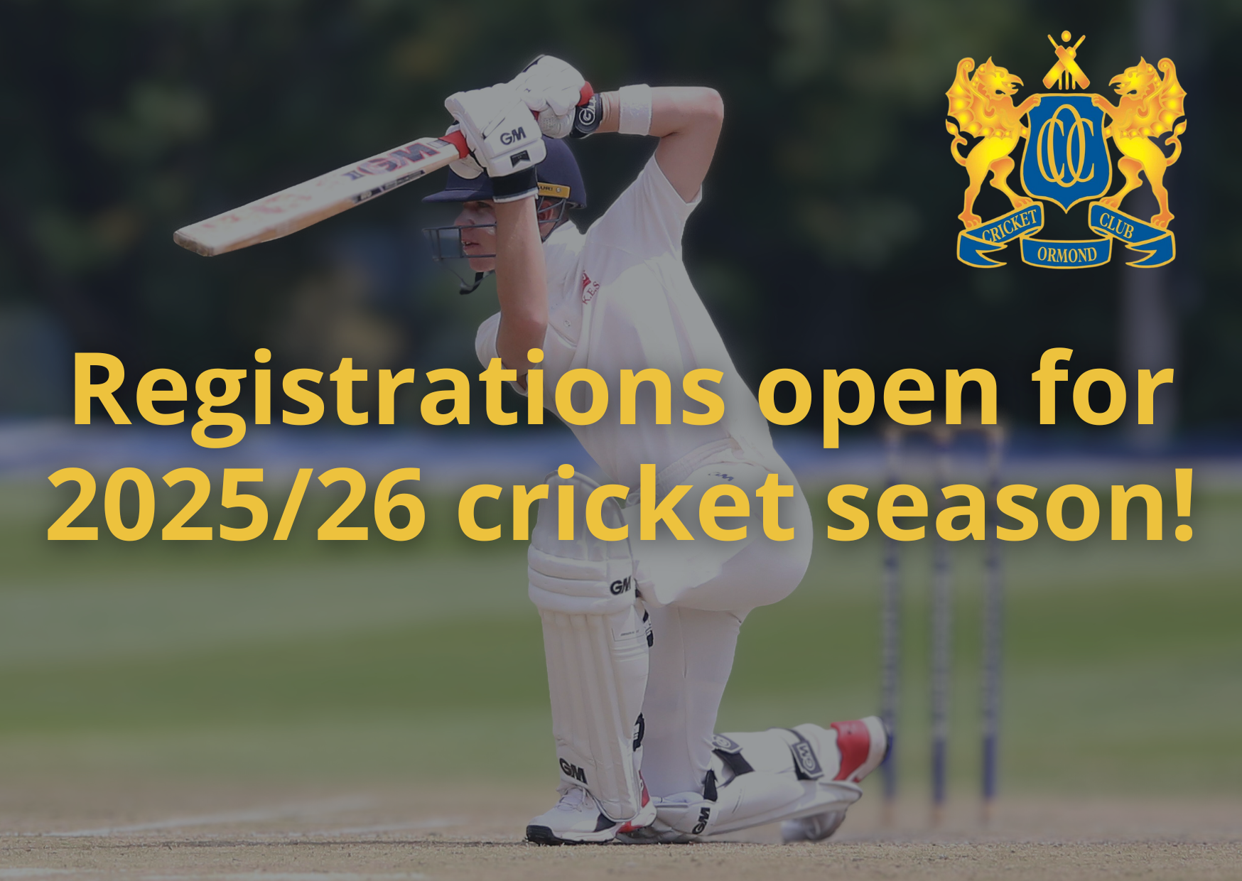 Welcome to the 2025/26 cricket season!